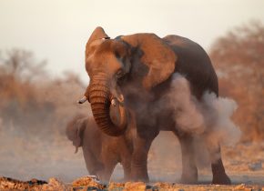 Dramaattinen Namibia