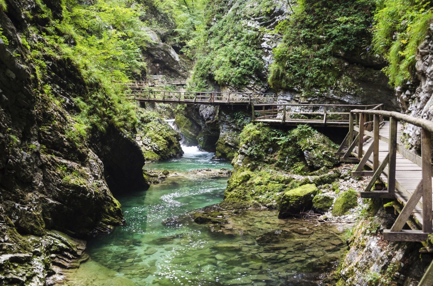 Kon-Tikin Slovenien matkalta: Vintgar Gorge