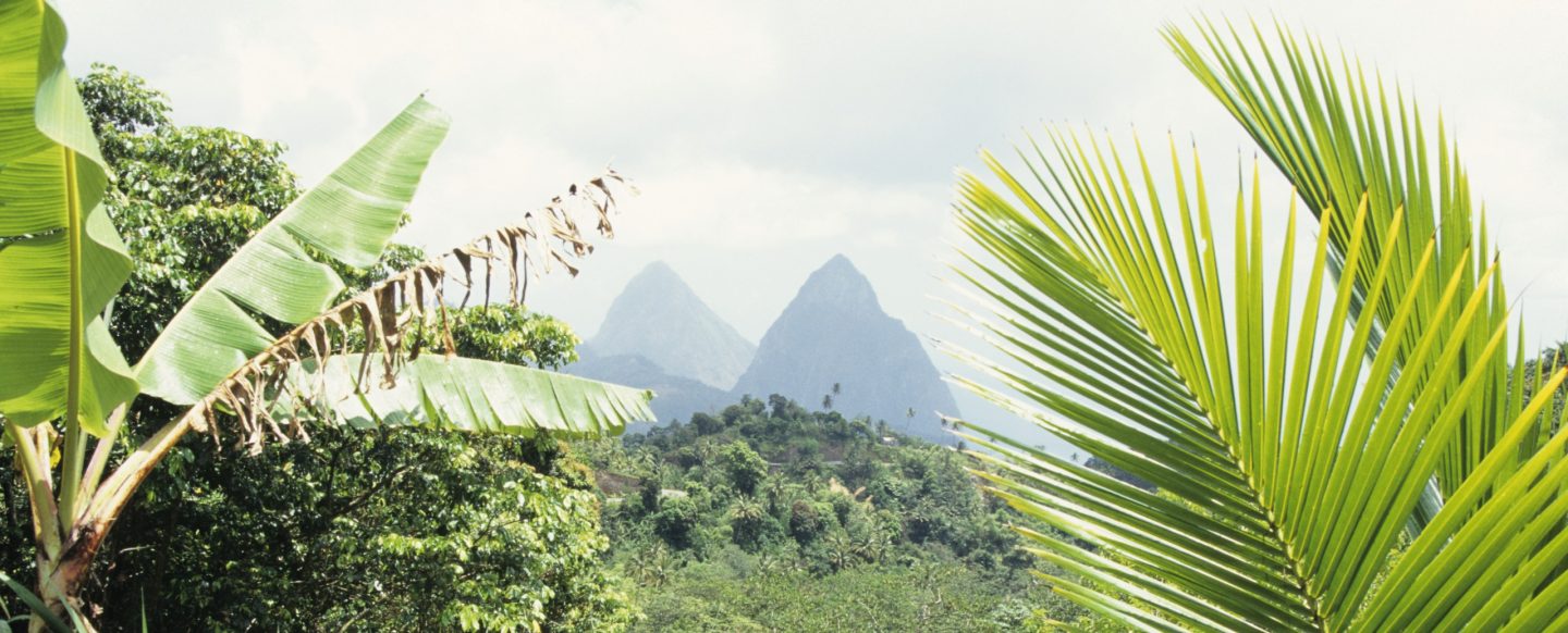 Kon-Tikin Saint Lucian matkalta: vuori