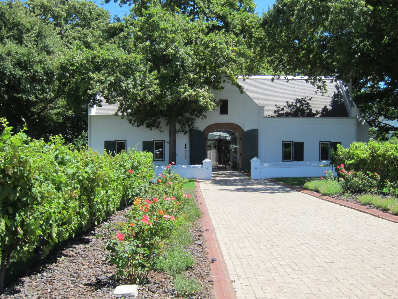 Stellenbosch talo Jannikan kuva