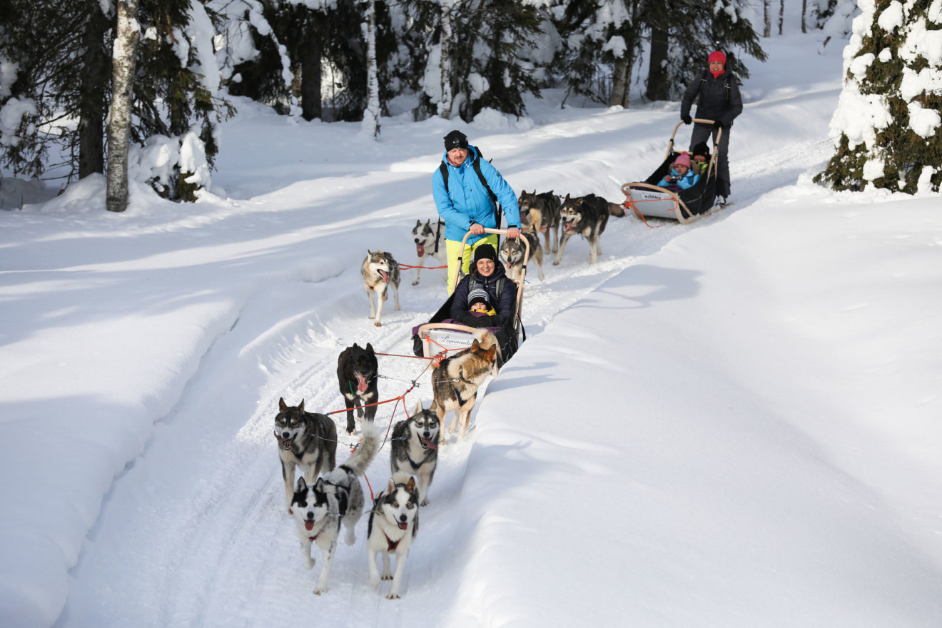 Husky Safari with family