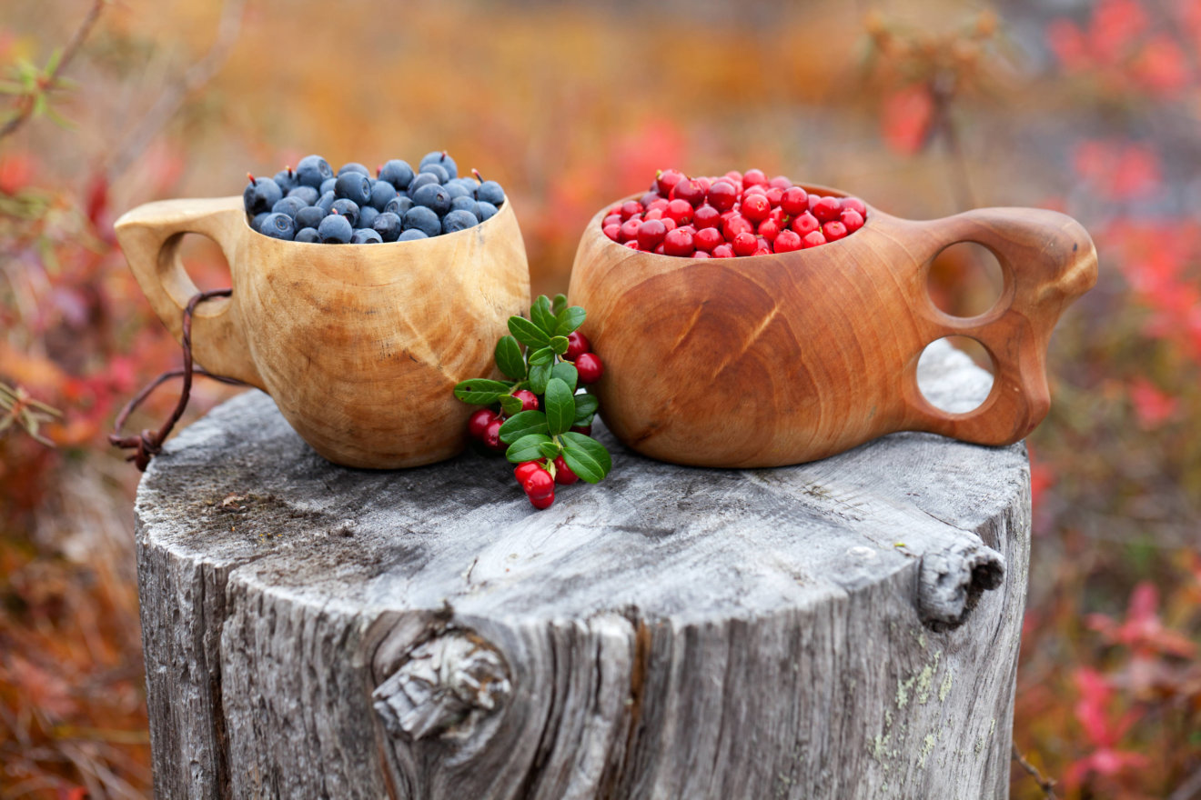Finland food tours - fresh wild berries in wooden kuksa cups