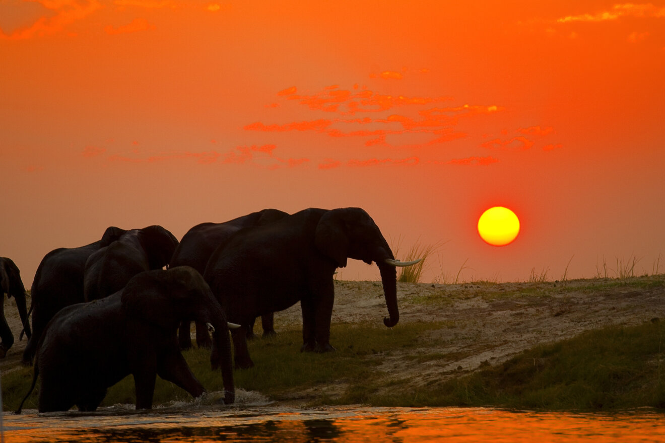 Botswana-sunset